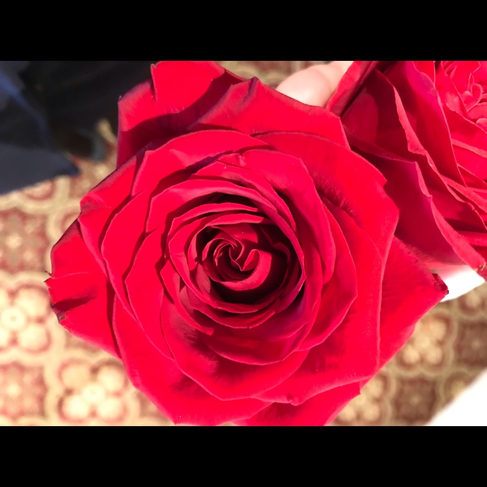 Meet your Posher, Ty